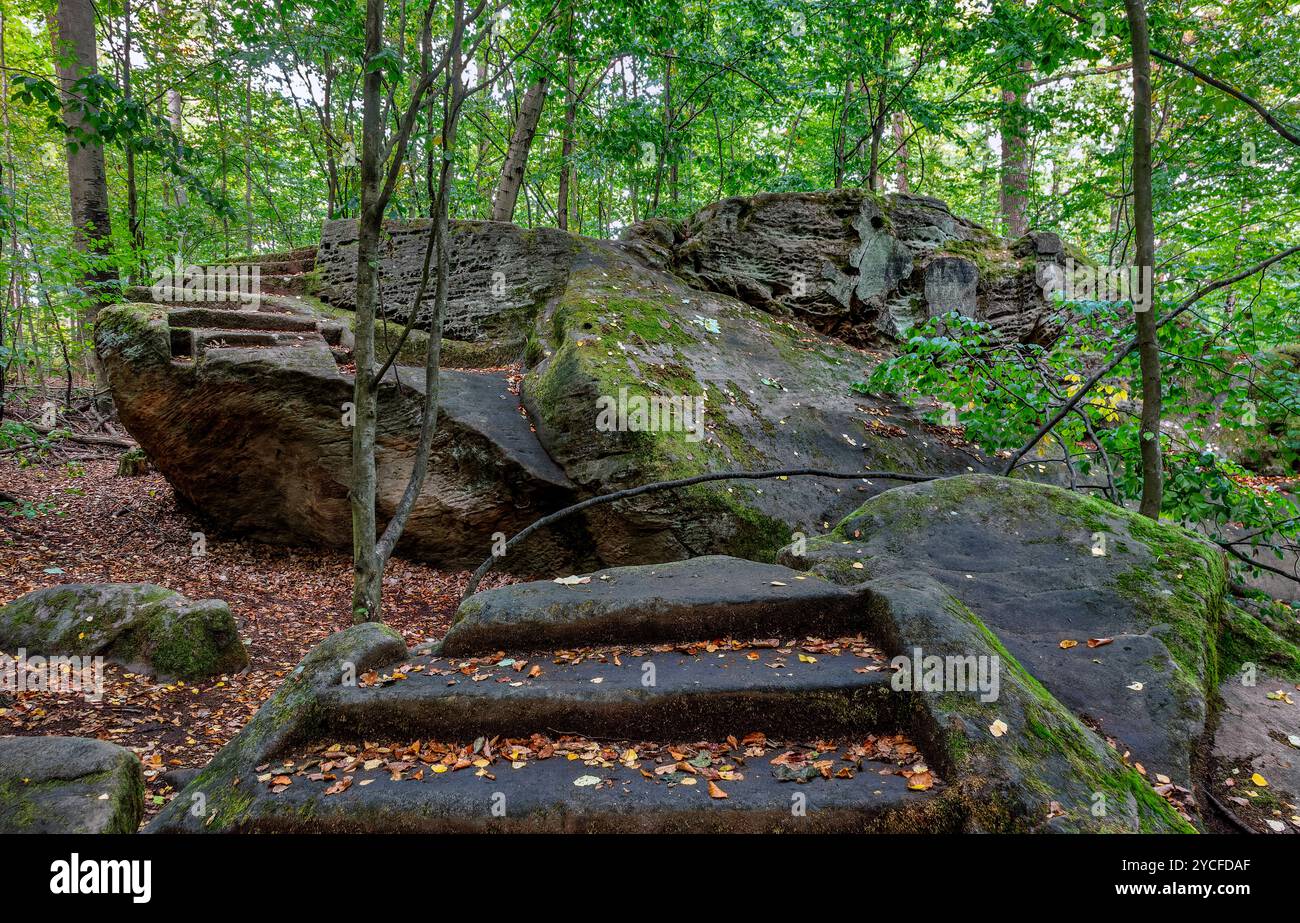 Deutschland, Bayern, Teufelsstein am Querkelsteinweg bei Ahorn, südöstlich von Schloss Hohenstein liegt der Hohenstein Felsengarten, der gut ausgeschilderte Querkelsteinweg führt zu den einzelnen Felsformationen Stockfoto