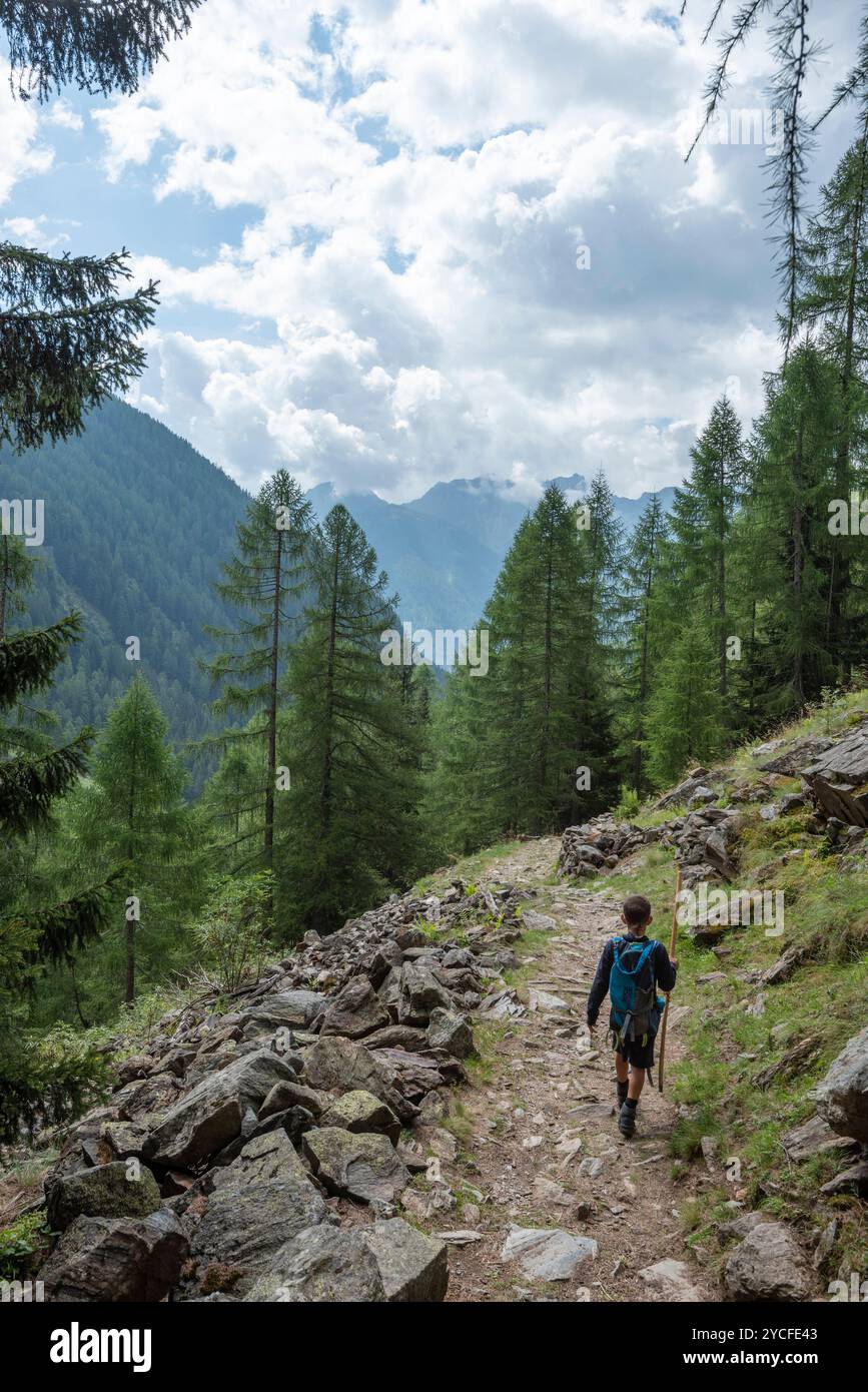 Felsiger Pfad, der zur Stablasolo-Hütte im Val di Rabbi führt. Europa, Italien, Trentino Südtirol, Provinz Trient, Sonnental, Rabbi. Stockfoto