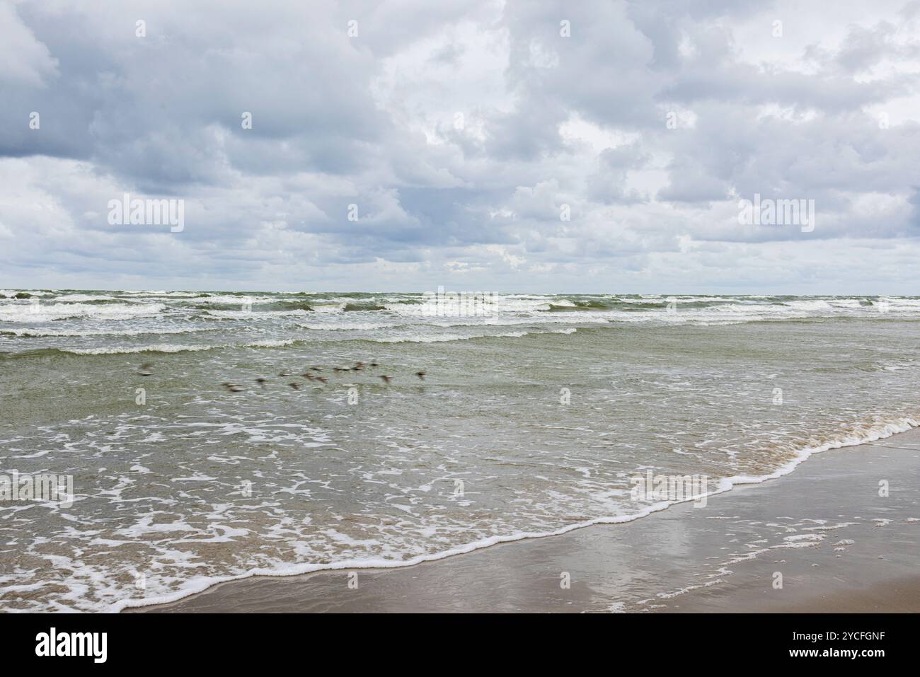 Möwen fliegen über das Meer Stockfoto