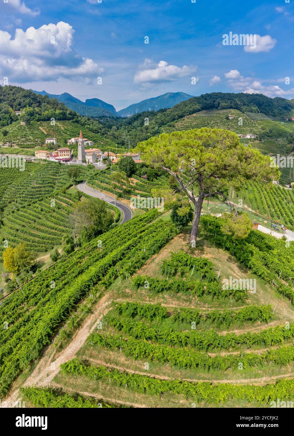 Das Dorf Rolle in der Gemeinde Cison di Valmarino, umgeben von den Weinbergen des Prosecco, ein UNESCO-Weltkulturerbe, Provinz Treviso, Venetien, Italien Stockfoto