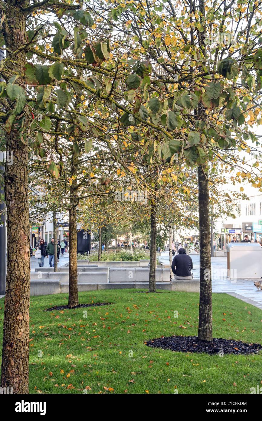 Machen Sie eine Pause vom Shopping in der New George Street, Plymouth. Man sah die Ruhe durch die Bäume, die im Rahmen der Renovierung in Octo gepflanzt wurden Stockfoto