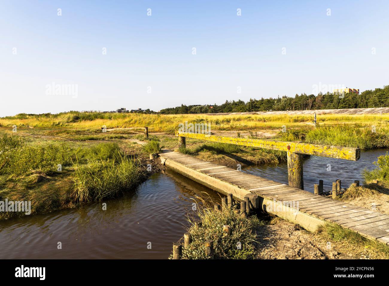 Brücke in den Salzwiesen im Nationalpark Schleswig-Holsteinisches Wattenmeer bei Sankt Peter-Ording, Nordfriesland, Schleswig-Holstein Stockfoto