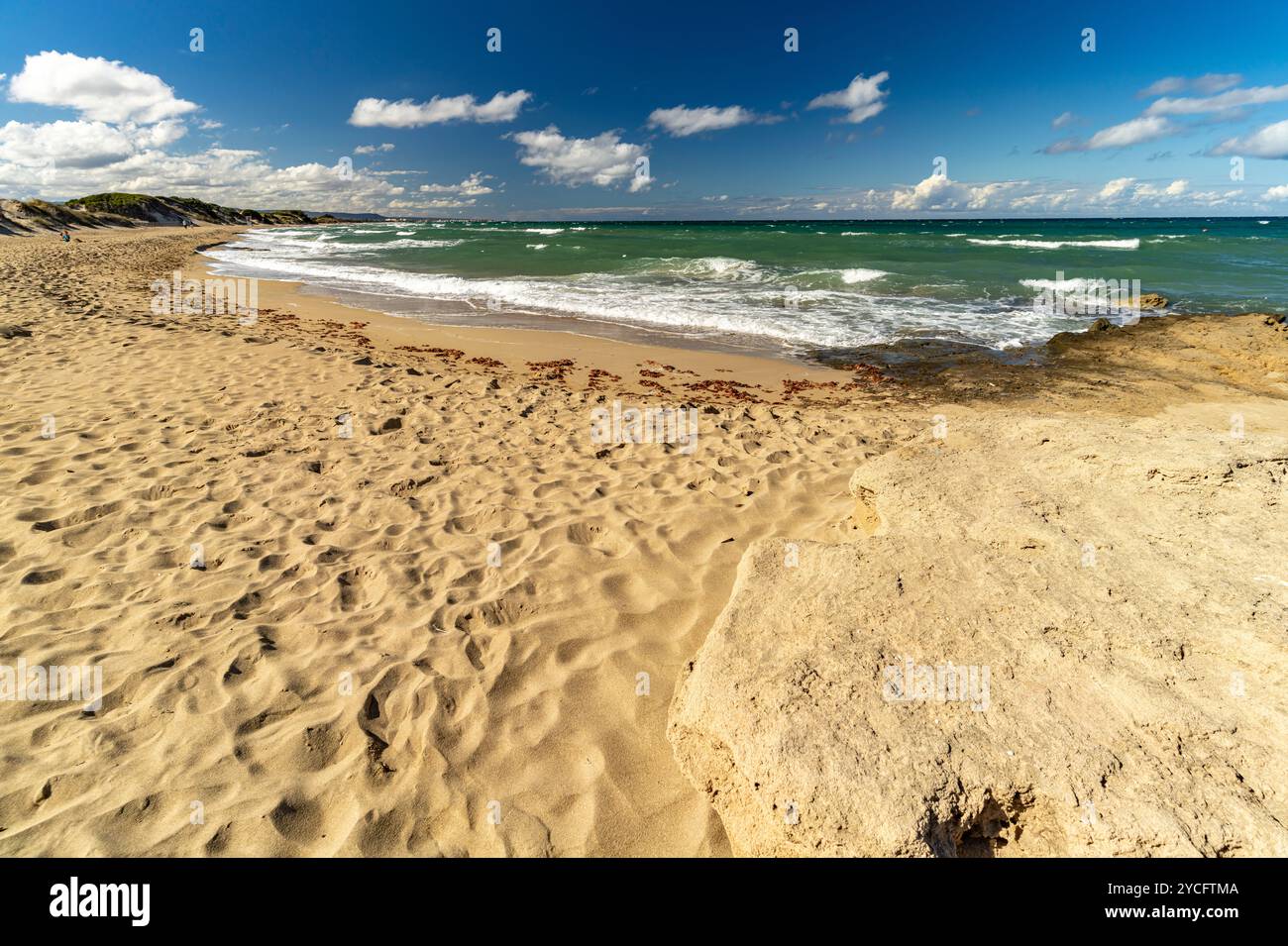 Am Strand Spiaggia di Pilone, Ostuni, Apulien, Italien, Europa | Spiaggia di Pilone Beach, Ostuni, Apulien, Italien, Europa Stockfoto