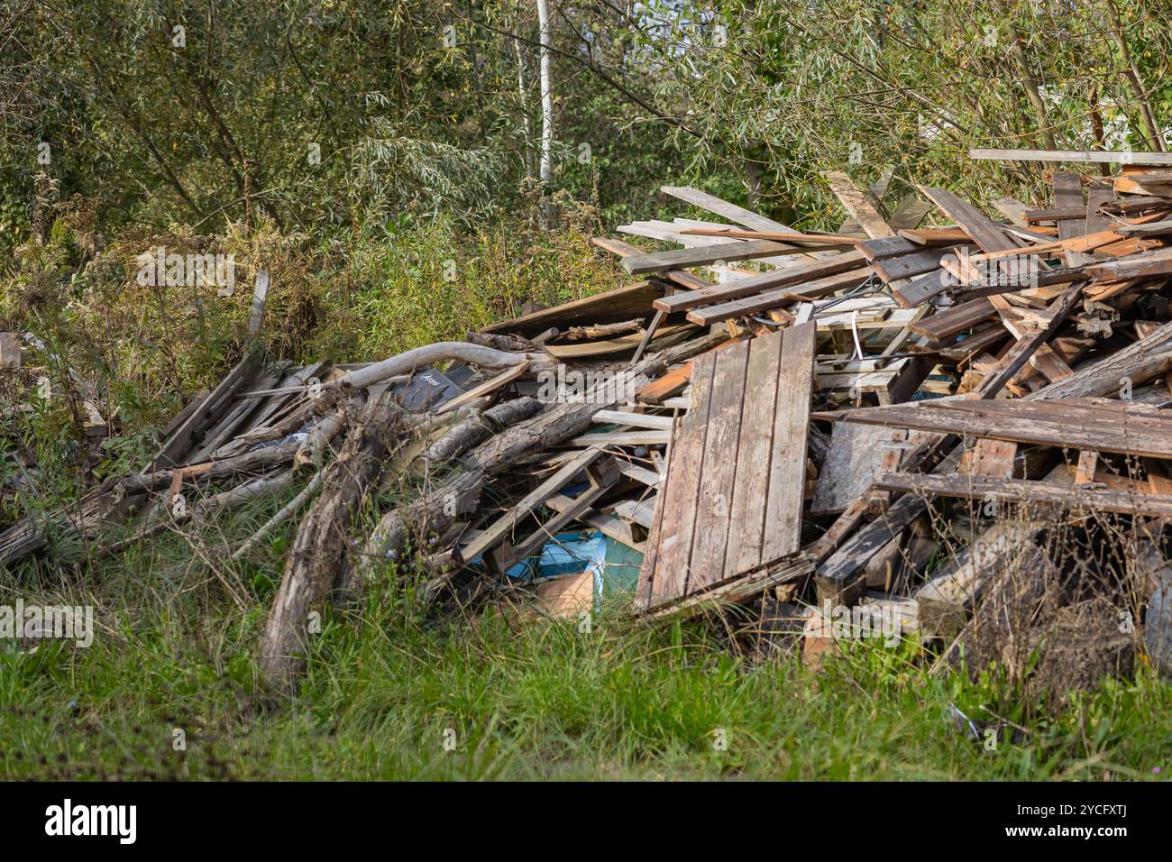 Haufen von Holzschutt und Baumstämmen in einem Waldgebiet an einem sonnigen Tag. Konzept der Umweltauswirkungen, der Abfälle und der natürlichen Ressourcen Stockfoto