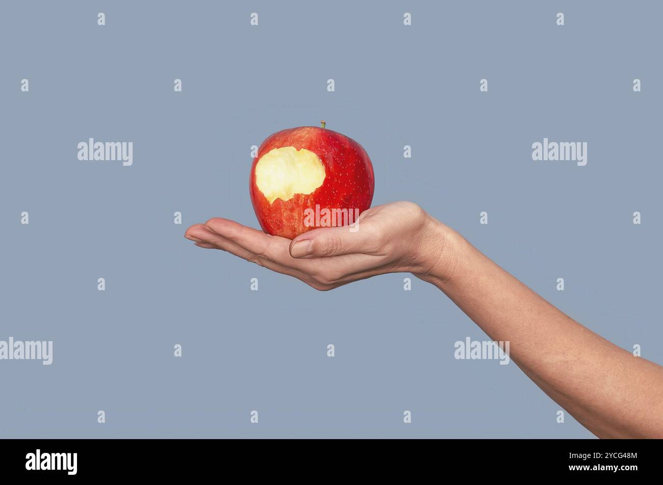 Gebissener Apfel auf der Handfläche der Frau vor grauem Hintergrund. Apfel als Symbol der verbotenen Frucht, des Vergnügens Stockfoto