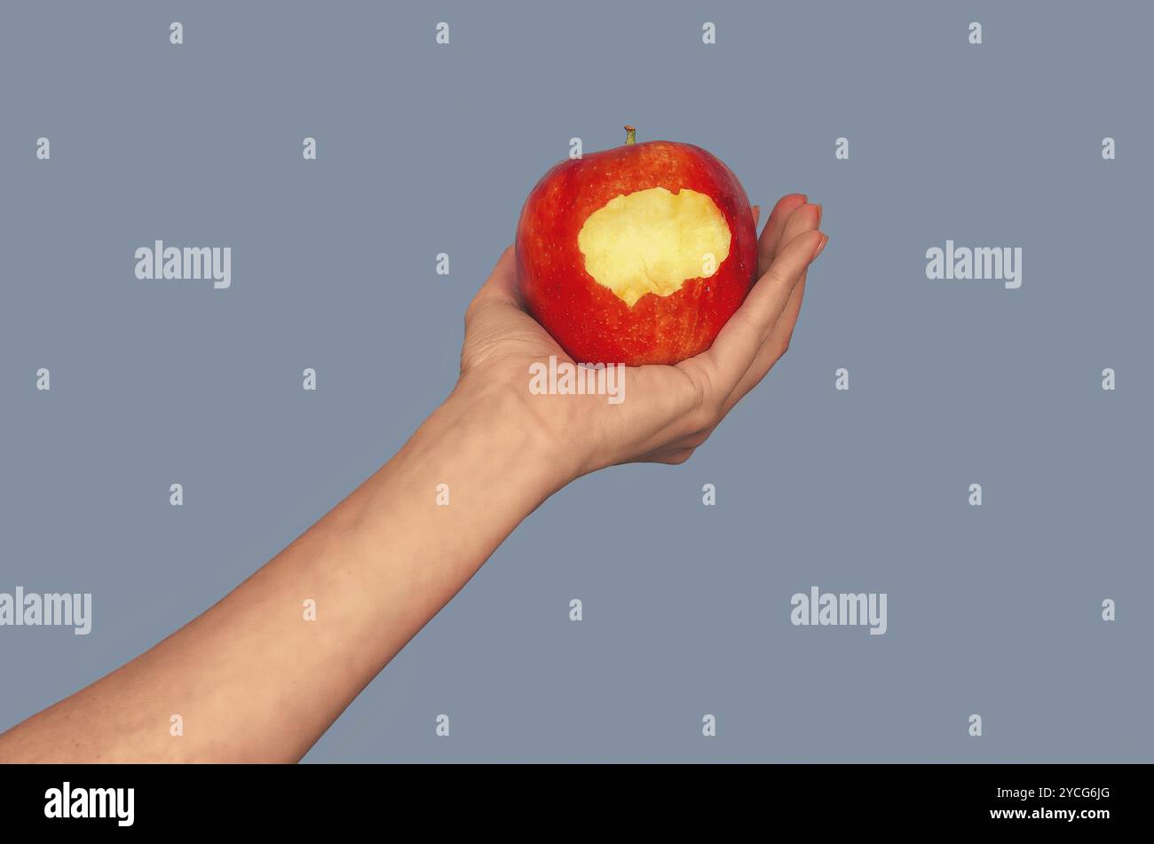 Gebissener Apfel auf der Handfläche der Frau vor grauem Hintergrund. Apfel als Symbol der verbotenen Frucht, des Vergnügens Stockfoto