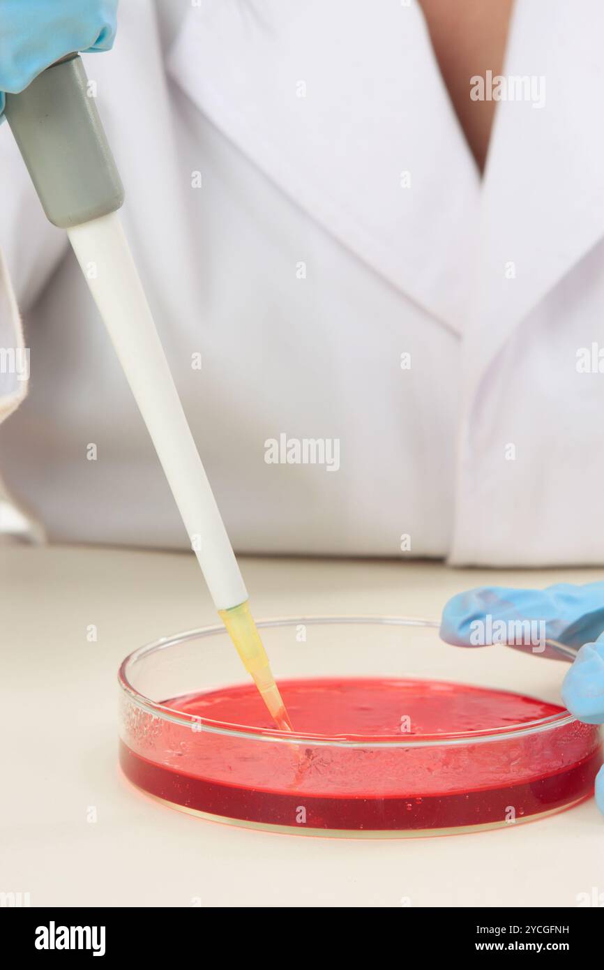 Biologische Forschung Stockfoto