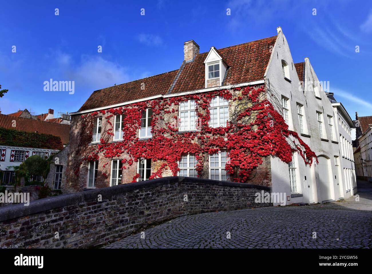 Antike Backsteinhäuser, die mit roten Blättern bedeckt sind, neben Peerdenbrug, mitten im historischen Zentrum des UNESCO-Weltkulturerbes von Brügge, Belgien. Stockfoto