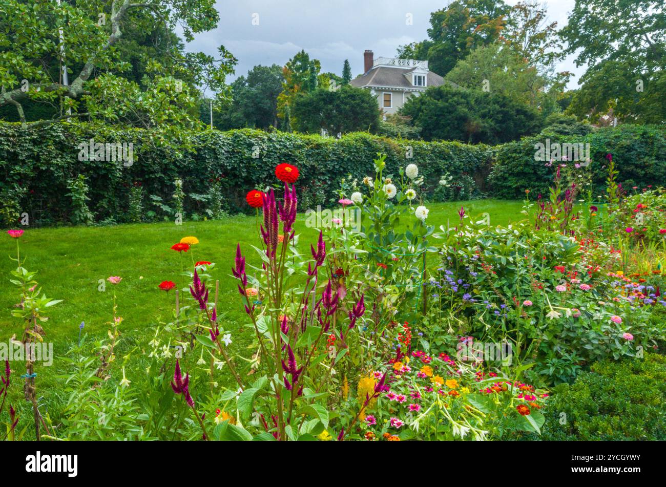 Blumen in den Old Houes in Peacefield, Quincy, MA Stockfoto