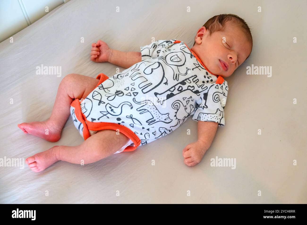 Ein kleiner Junge, der leise in seiner Wiege schläft. Stockfoto