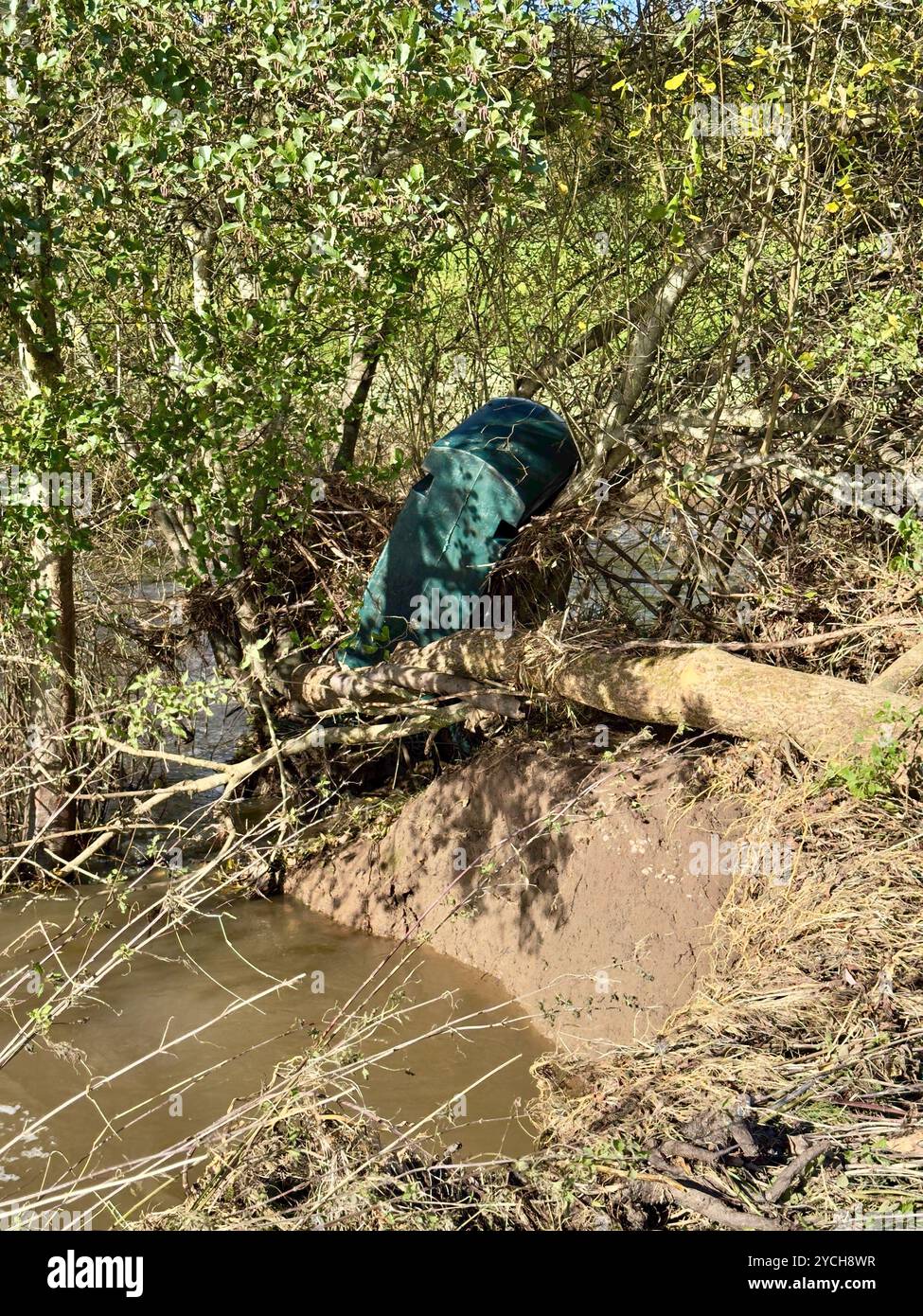 Großer grüner Kunststofftank, der nach einem Hochwasser stromabwärts gespült und in den Ästen eines Baumes neben einem kleinen Fluss gefangen wurde. - Smartphone-aufgenommenes Stockfoto