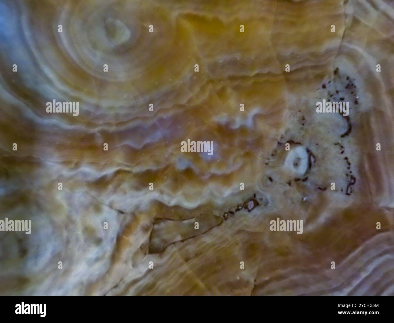 Alte römische Marmor Textur Hintergrund, italienische Marmorplatte, die Textur von Kalkstein oder Closeup Oberfläche Grunge Stein Textur Stockfoto