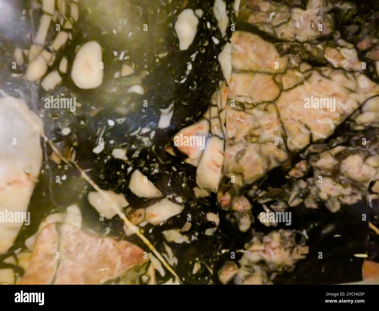 Alte römische Marmor Textur Hintergrund, italienische Marmorplatte, die Textur von Kalkstein oder Closeup Oberfläche Grunge Stein Textur Stockfoto