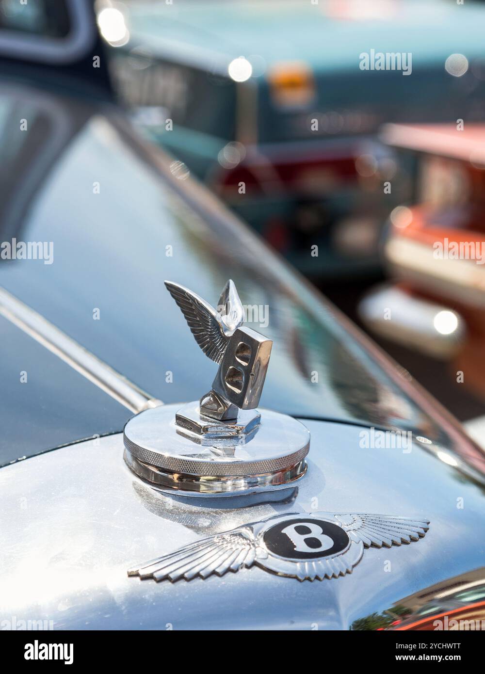 Emblem eines Bentley Stockfoto