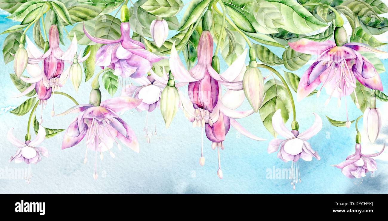 Fuchsiaflume. Helle Aquarellillustration Hand gezeichnet auf einem Aquarellhimmel Hintergrund. Geeignet für Dekor und Textilien Stockfoto