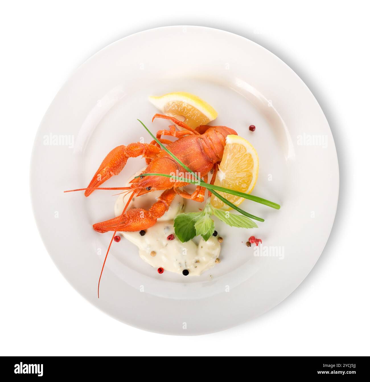 Hummer auf einem weißen Teller isoliert Stockfoto