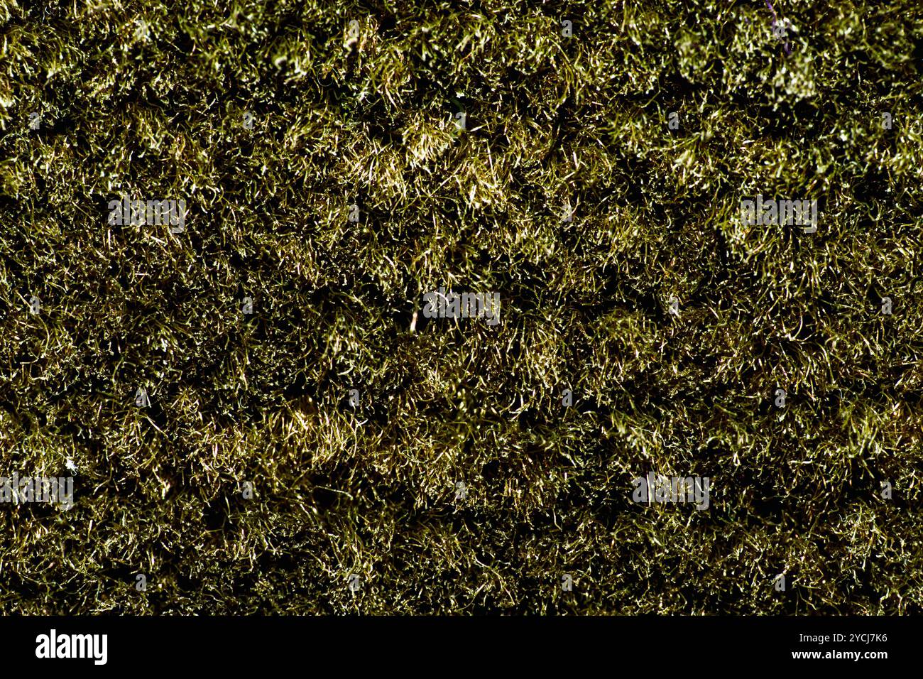 Die Textur des braunen Teppichs mit langflorigem Teppich Stockfoto