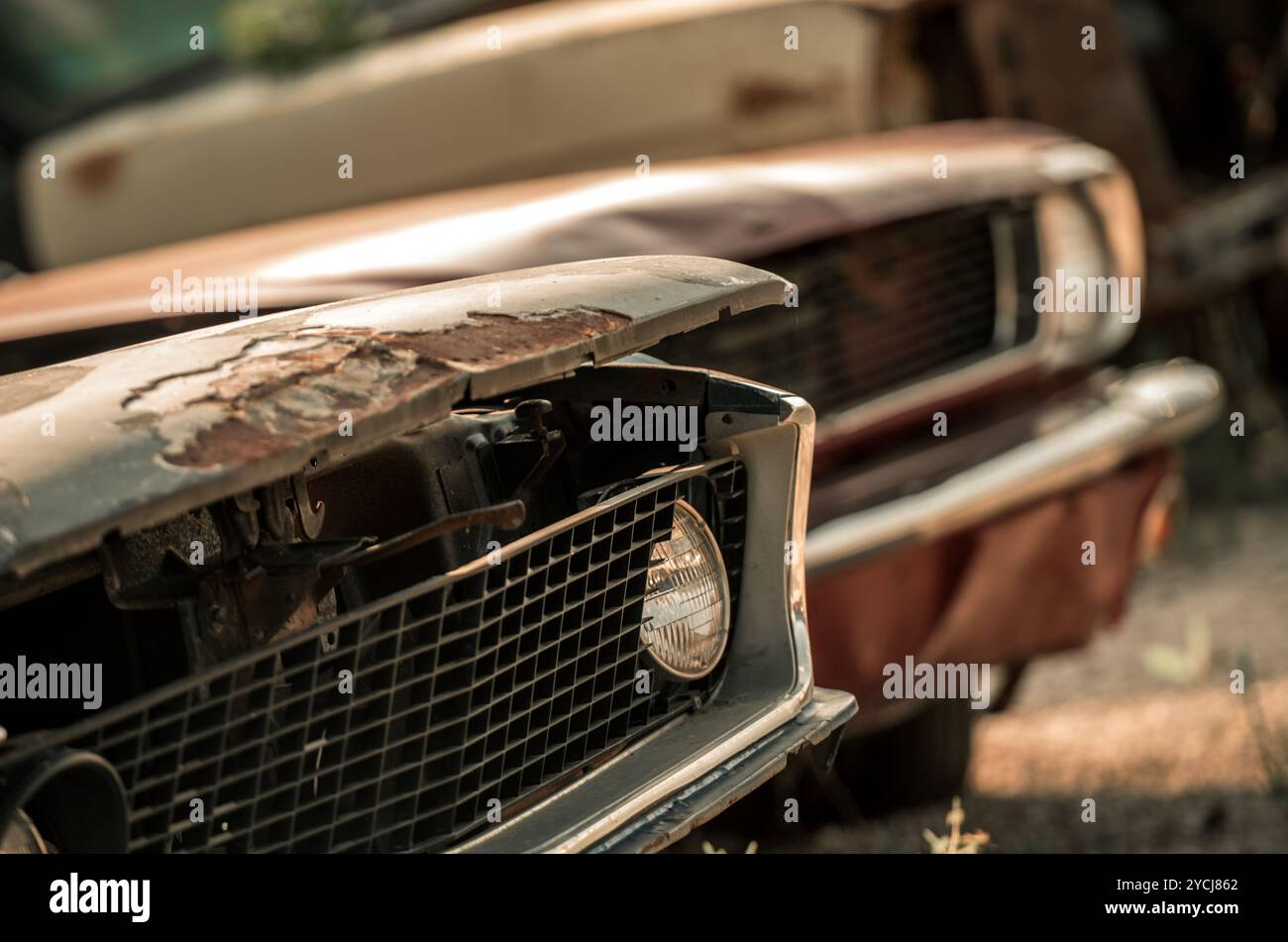Rostige Oldtimer sitzen auf einem ländlichen Schrottplatz vergessen, ihre einst lebhaften Farben verblassten unter jahrelanger Vernachlässigung während eines wunderschönen Sonnenuntergangs, der das Licht erleuchtete Stockfoto