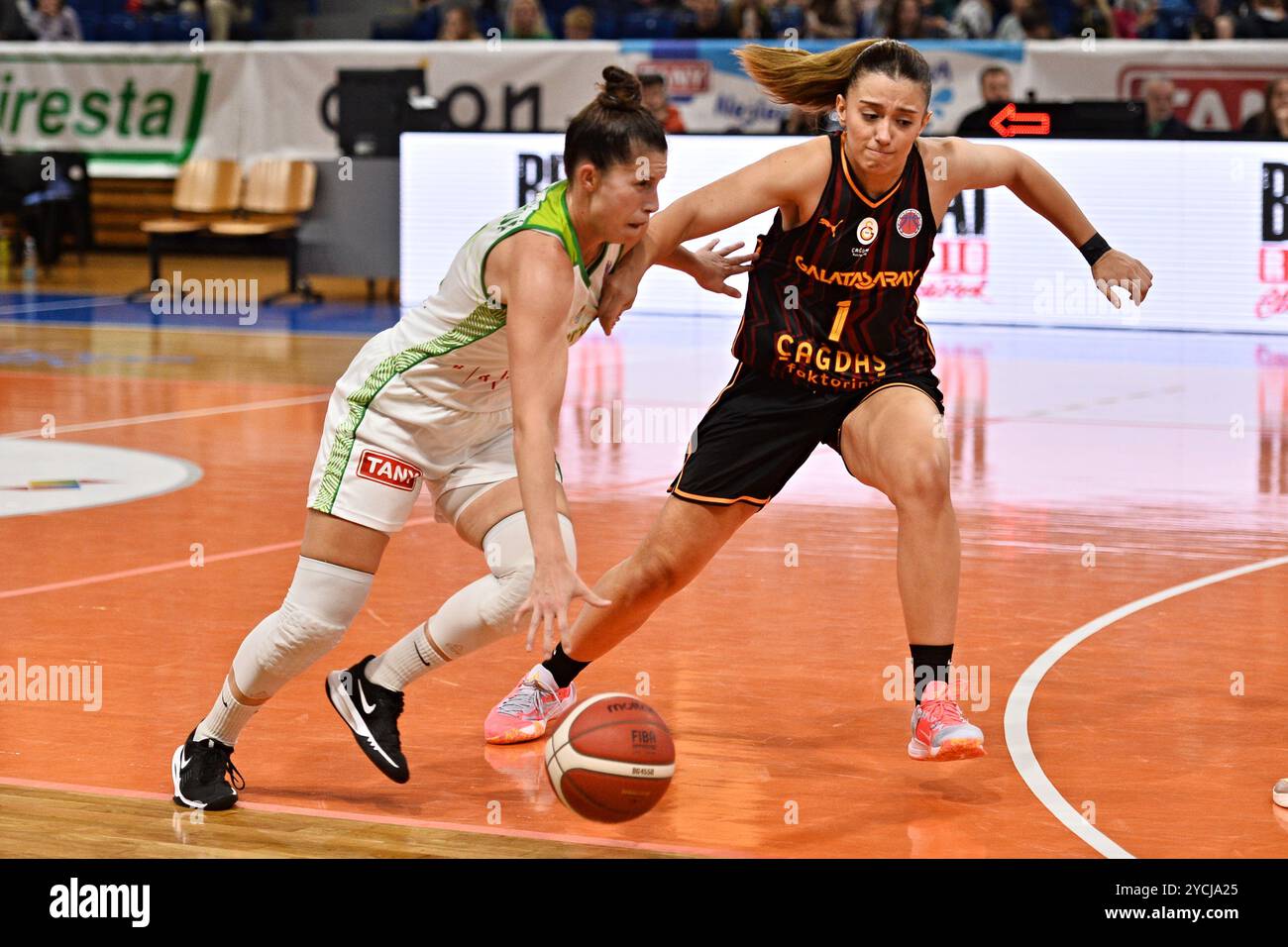 Brünn, Tschechische Republik. Oktober 2024. Von links Michalela Vondrackova aus Brünn, Selin Gul aus Galatasaray in Aktion während des Basketball EuroCup Frauen Gruppe J 3. Runde Spiel: KP Tany Brno vs Galatasaray Istanbul in Brünn, Tschechische Republik, 23. Oktober 2024. Quelle: Patrik Uhlir/CTK Photo/Alamy Live News Stockfoto