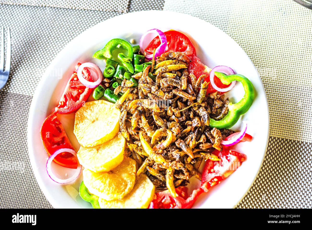 Eine Fertigmahlzeit mit Grashüpfern ( Nsenene) im Serenada Eco Resort - Uganda. Grashüpfer sind eine saisonale Delikatesse in Uganda. Stockfoto