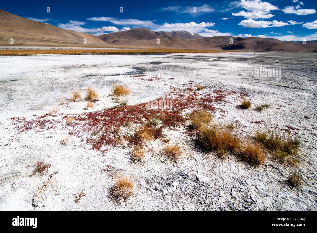 Indische Himalaya-Landschaft mit Salzsee TSO Kar Stockfoto