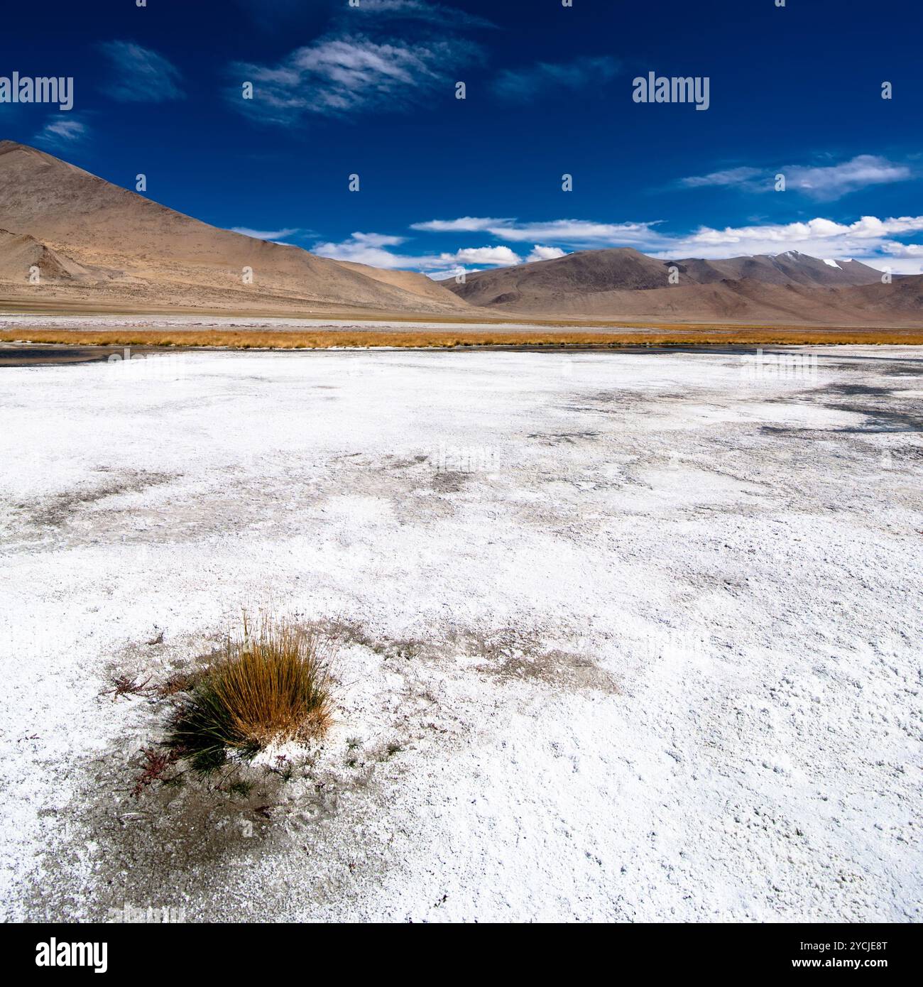 Salzsee TSO Kar unter blauem Himmel. Indien, Ladakh Stockfoto
