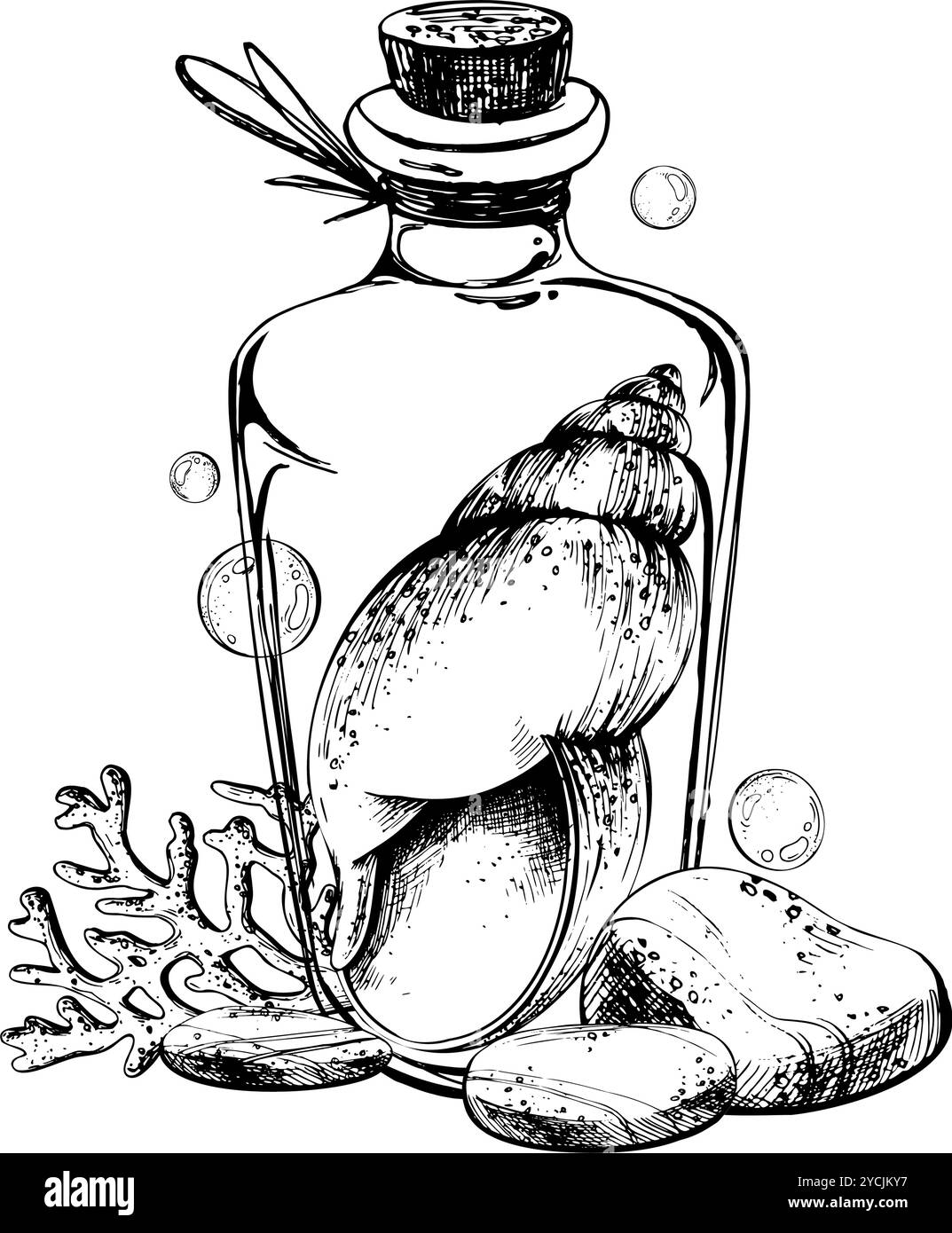 Muschelspiralkorallen in Glasflasche mit Korksteinchen und Wasserblasen. Handgezeichnete grafische Abbildung in schwarz-weißer Farblinie Stock Vektor