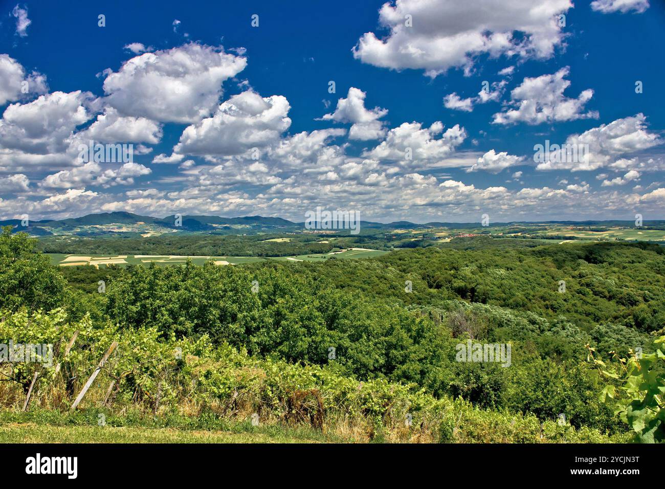 Schöne grüne Landschaft Landschaft unter bewölktem Himmel Stockfoto