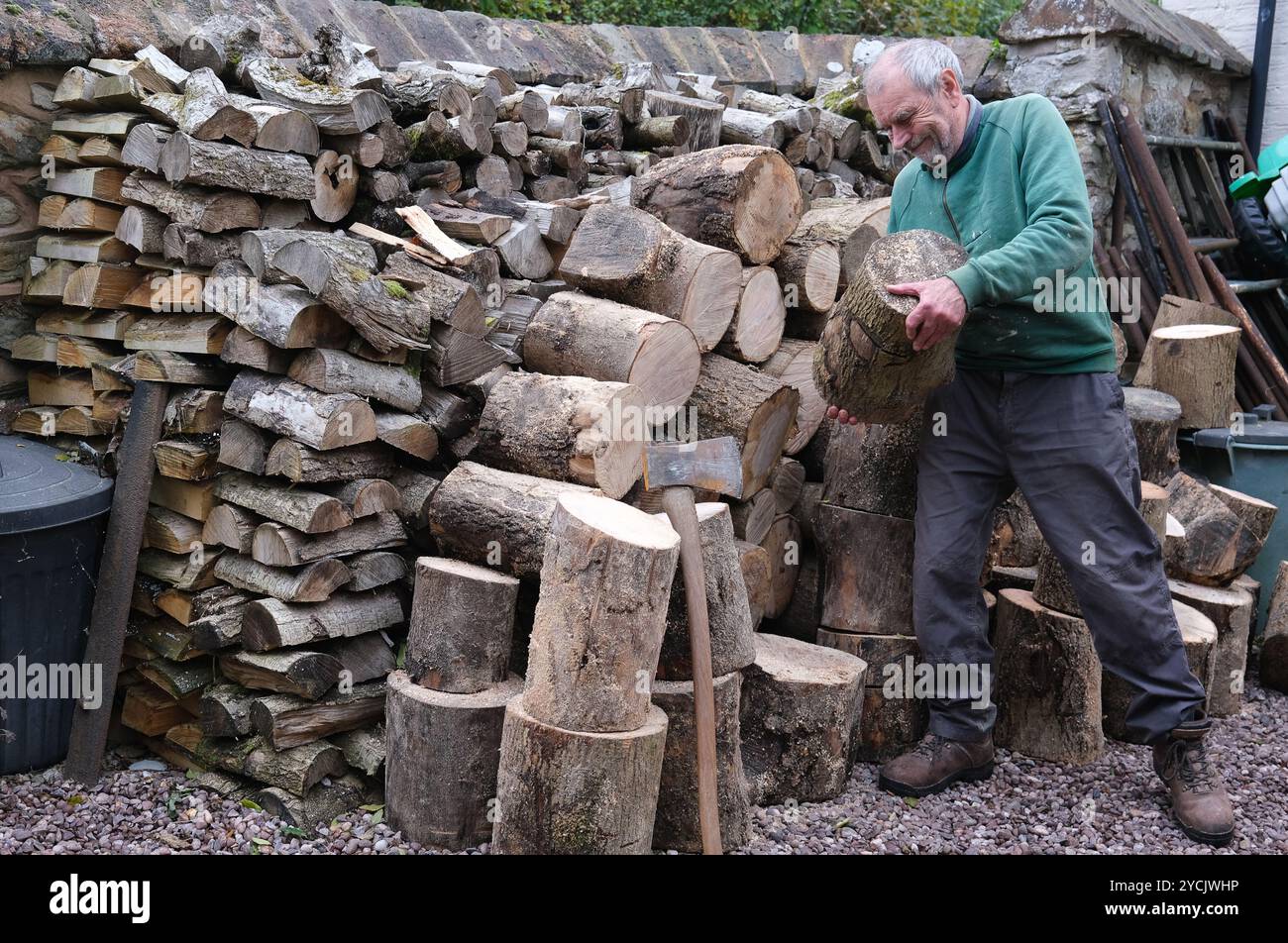 Älterer Mann stapelt Holzscheite für den Winter Großbritannien, Großbritannien Stockfoto