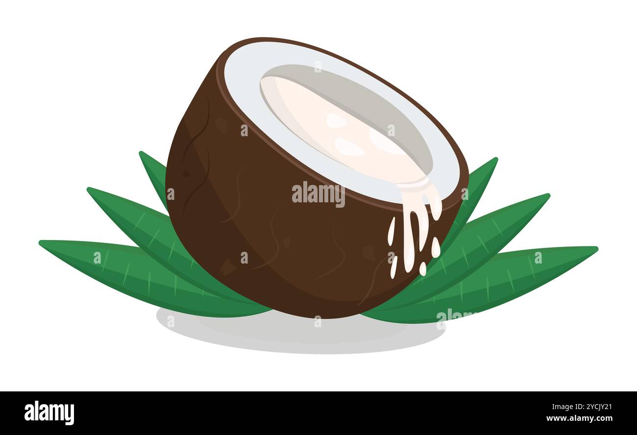 Kokosnusshälfte mit Blättern und Milch gießen, bunte Vektor-Illustration Stock Vektor