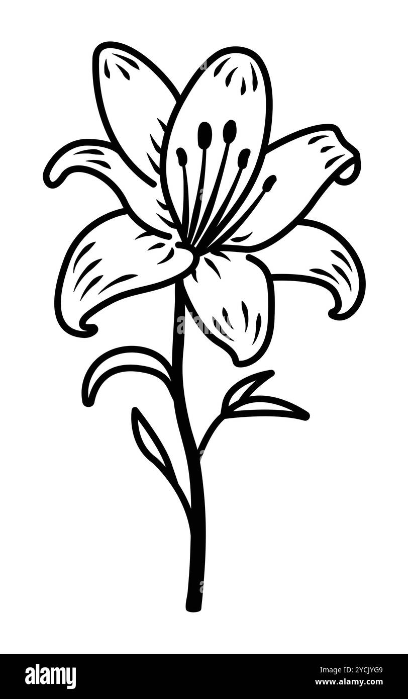 Einzelne schwarze Linie Lilienblüte, offene Knospe mit Stiel und Blättern, Vektorumriss Illustration Stock Vektor