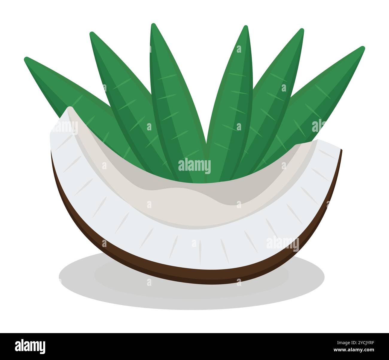 Stück Kokos- und Palmblätter auf dem Hintergrund, saftige rohe Nussscheibe, bunte Vektor-Illustration Stock Vektor