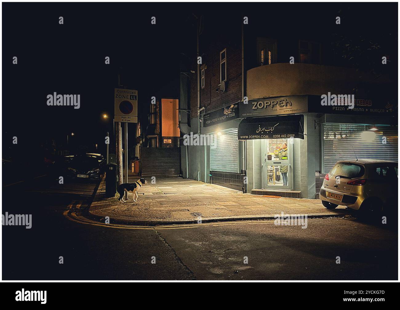 Ein Hund wartet vor einem Nachtrestaurant auf seinen Besitzer. Stockfoto