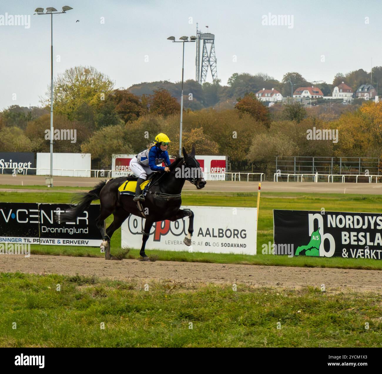 Monté-Pferderennen aus nordjütland, Dänemark Stockfoto