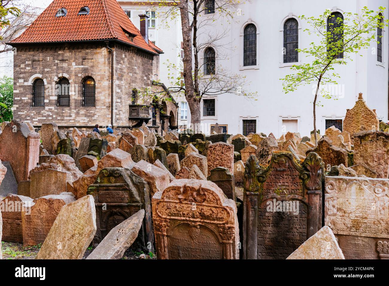 Alter jüdischer Friedhof, mehr von 12,500 Grabsteinen aus dreieinhalb Jahrhunderten prager judentum. Jüdische Stadt, Prag, Tschechische Republik, Europa Stockfoto