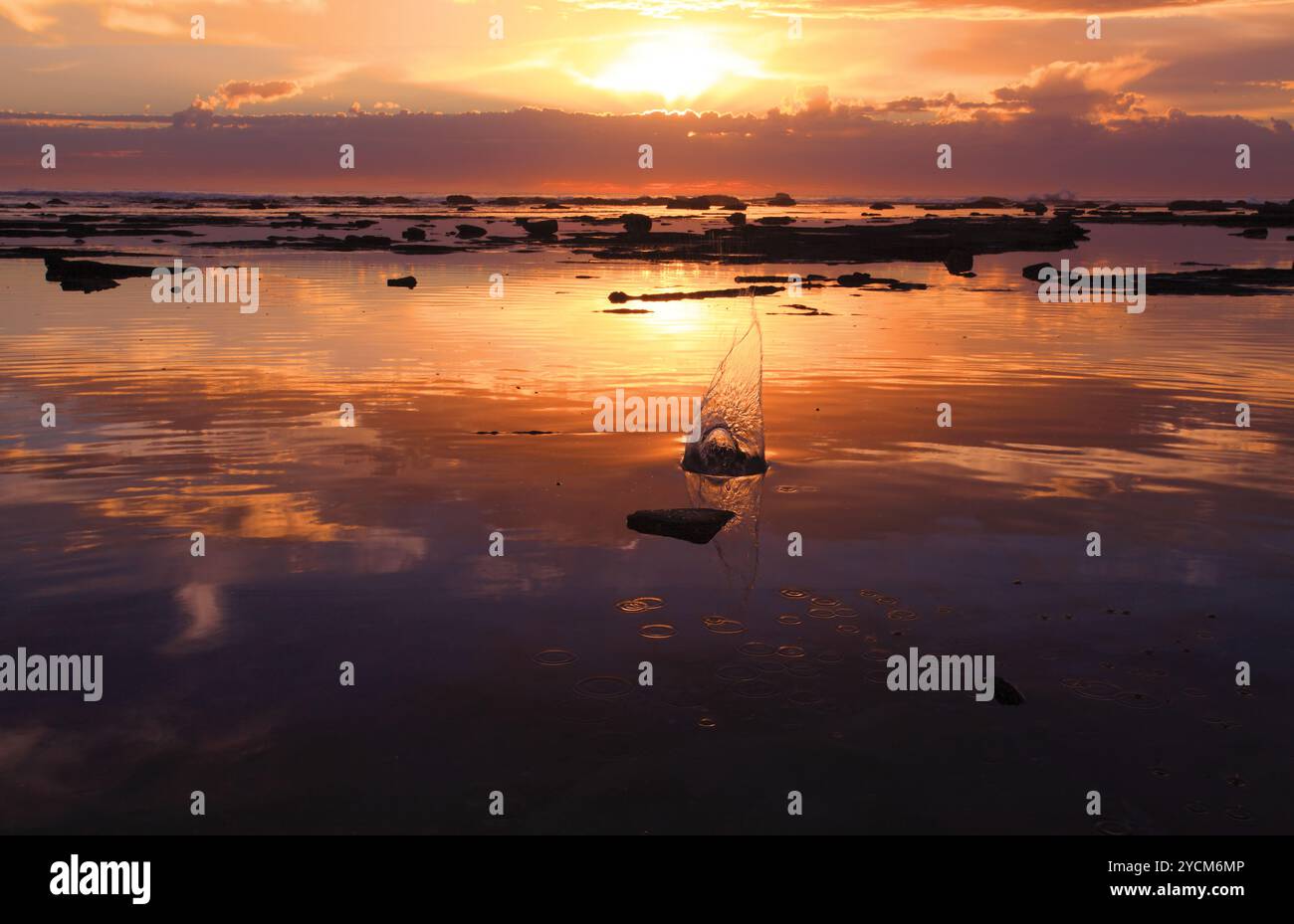 Das Plätschern eines kleinen Kiesels vor dem erstaunlichen orange-roten Sonnenaufgang, Bateau Bay Rockshelf Reef bei Flut, NSW Australien Stockfoto