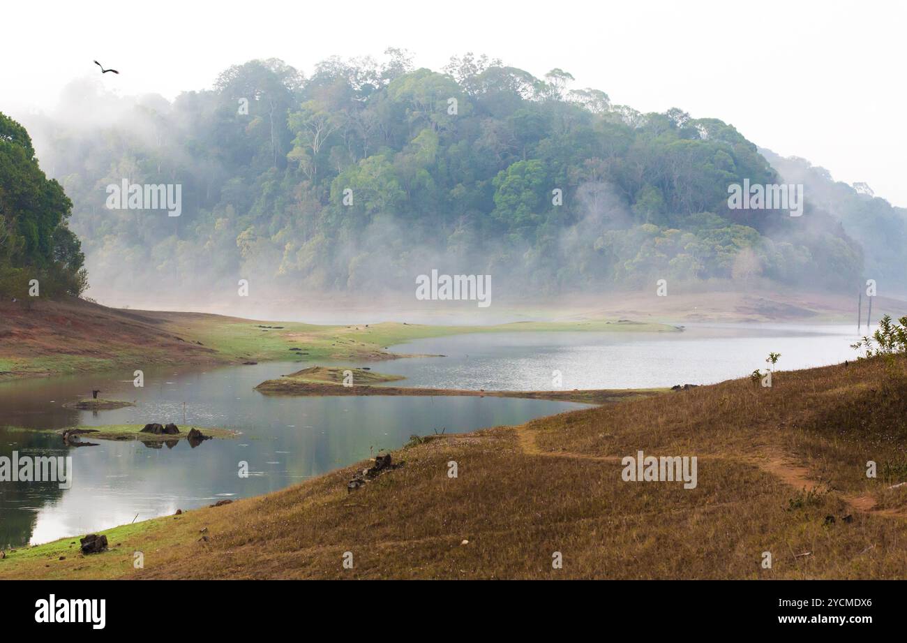 India Kumily, Kerala, Indien - Nationalpark Periyar Wildlife Sancturary, Stockfoto