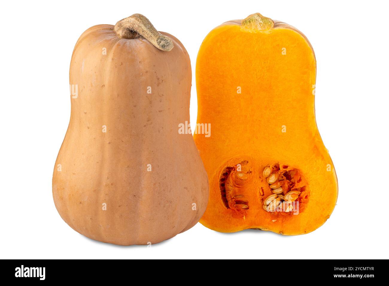 Butternusskürbis in zwei Hälften geschnitten mit Blick auf gelbes Fleisch und Samen. Kürbis isoliert auf weiß mit Beschneidungspfad Stockfoto