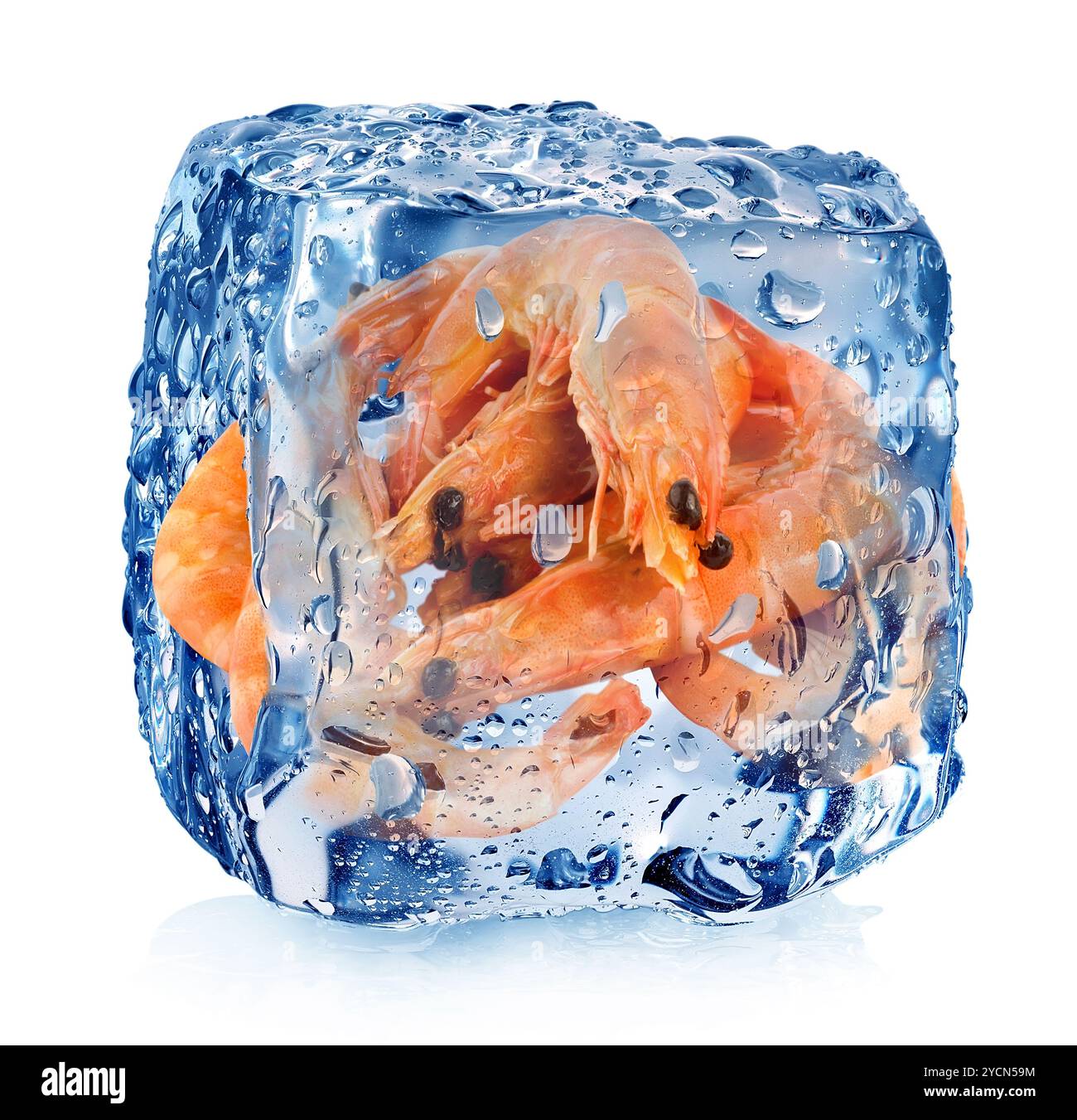 Garnelen im Eiswürfel Stockfoto