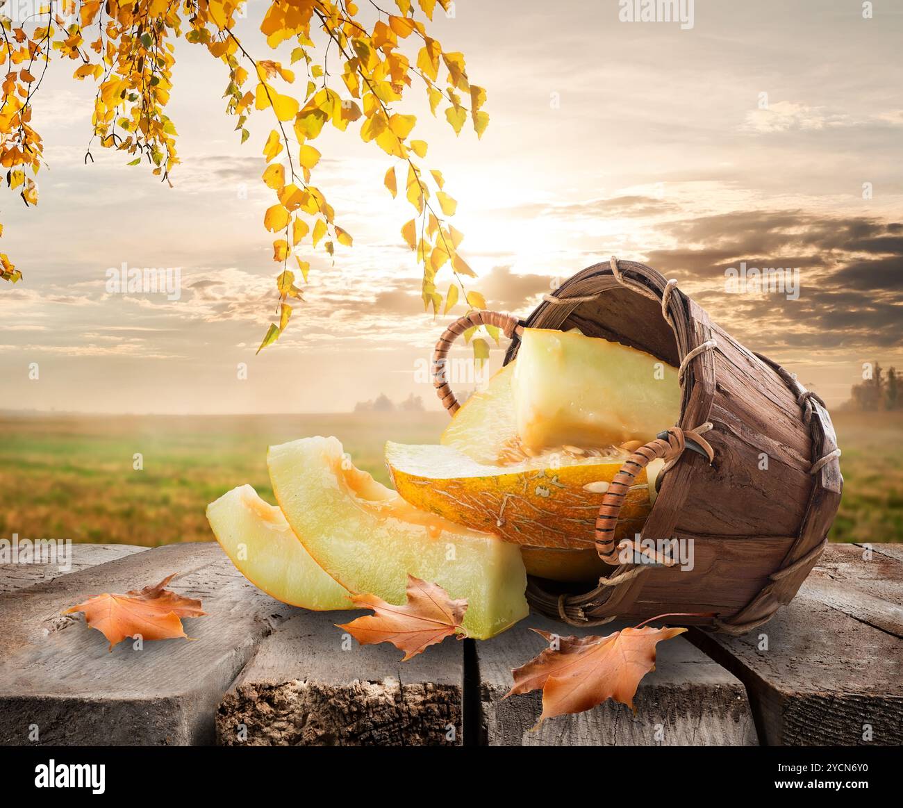 Melone und Landschaft Stockfoto
