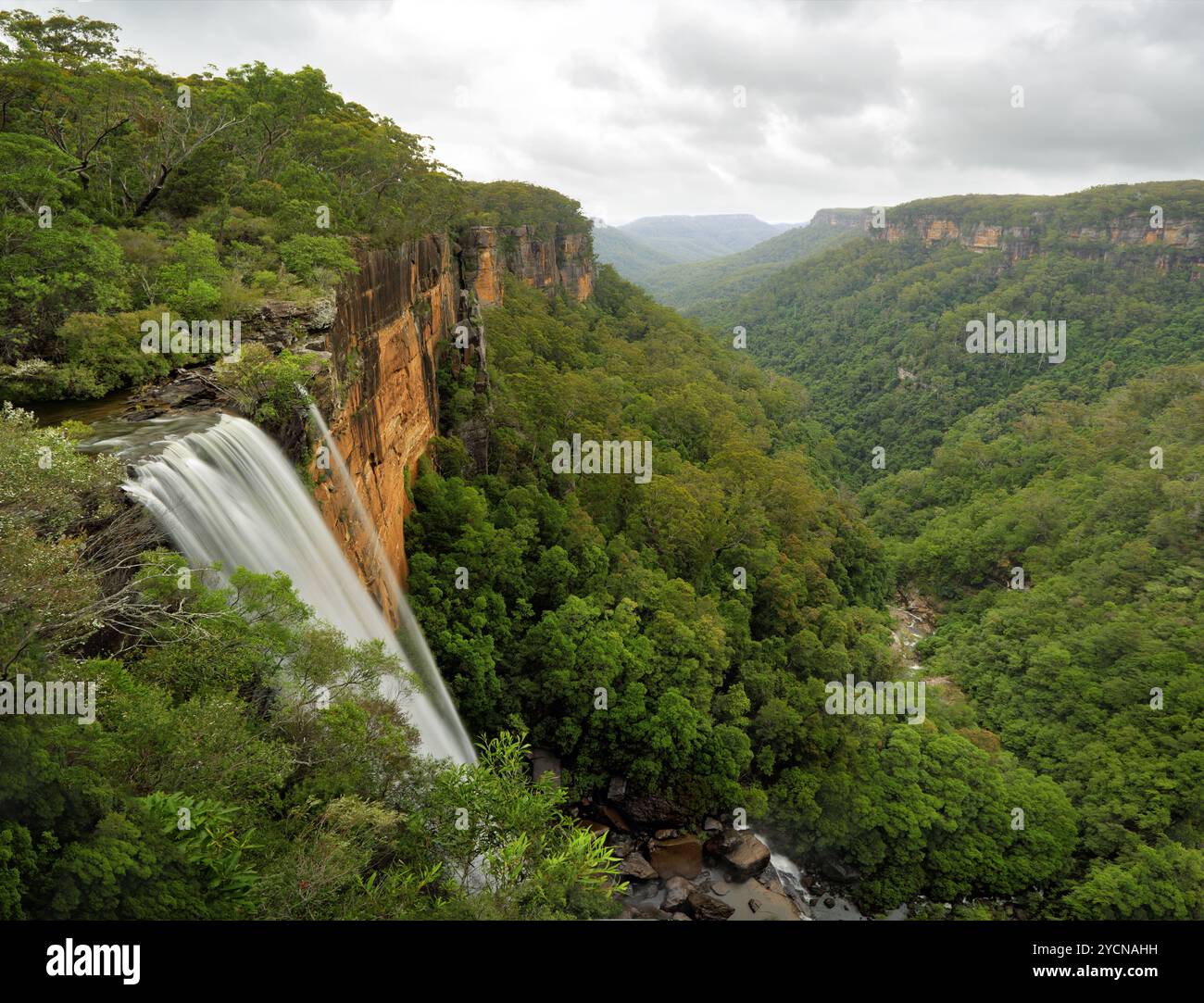 Fitzroy Falls Yarrunga Valley Southern Highlands Australien Stockfoto