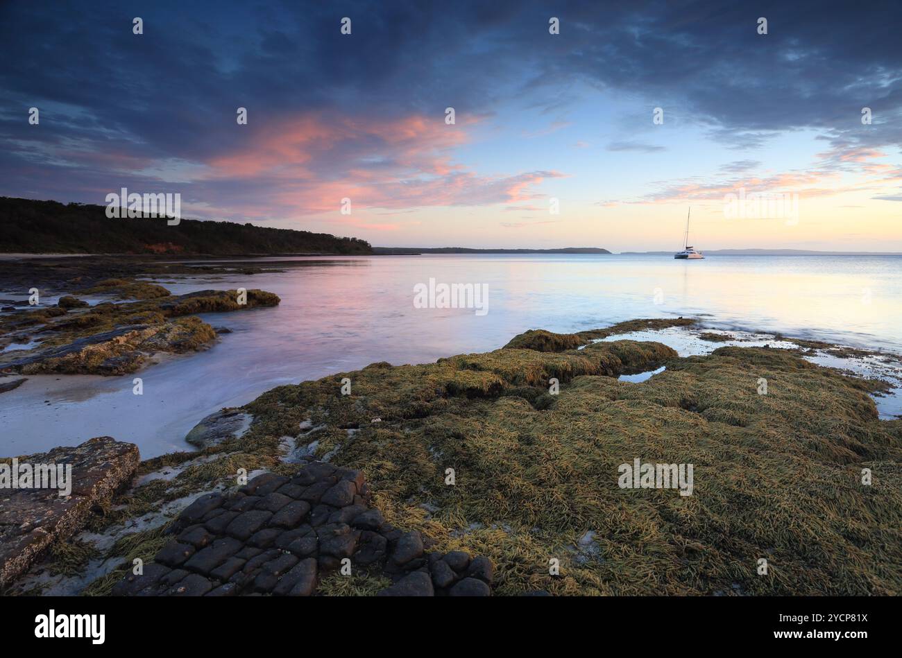 Cabbage Tree Beach Australien Stockfoto