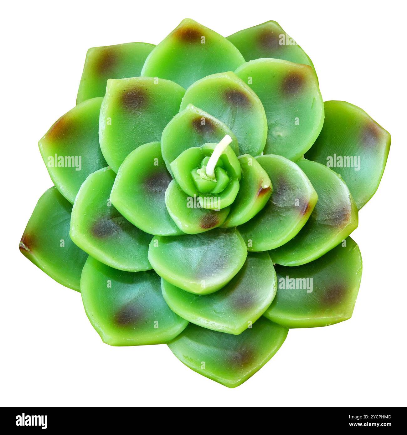 Grüne Lotuskerze Stockfoto