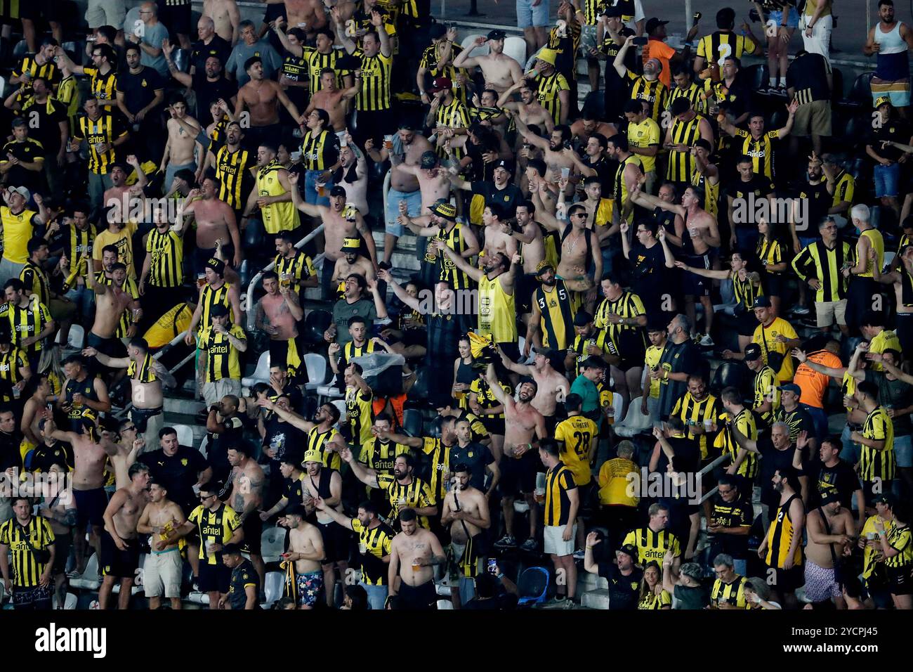 Rio de Janeiro, Brasilien. Oktober 2024. Penarol-Fans, während des Spiels zwischen dem brasilianischen Botafogo und dem uruguayischen Penarol für die erste Runde, das Halbfinale der Copa Libertadores 2024 im Nilton Santos Stadium in Rio de Janeiro, Brasilien am 23. Oktober 2024 Foto: Satiro Sodre/DiaEsportivo/Alamy Live News Credit: DiaEsportivo/Alamy Live News Stockfoto