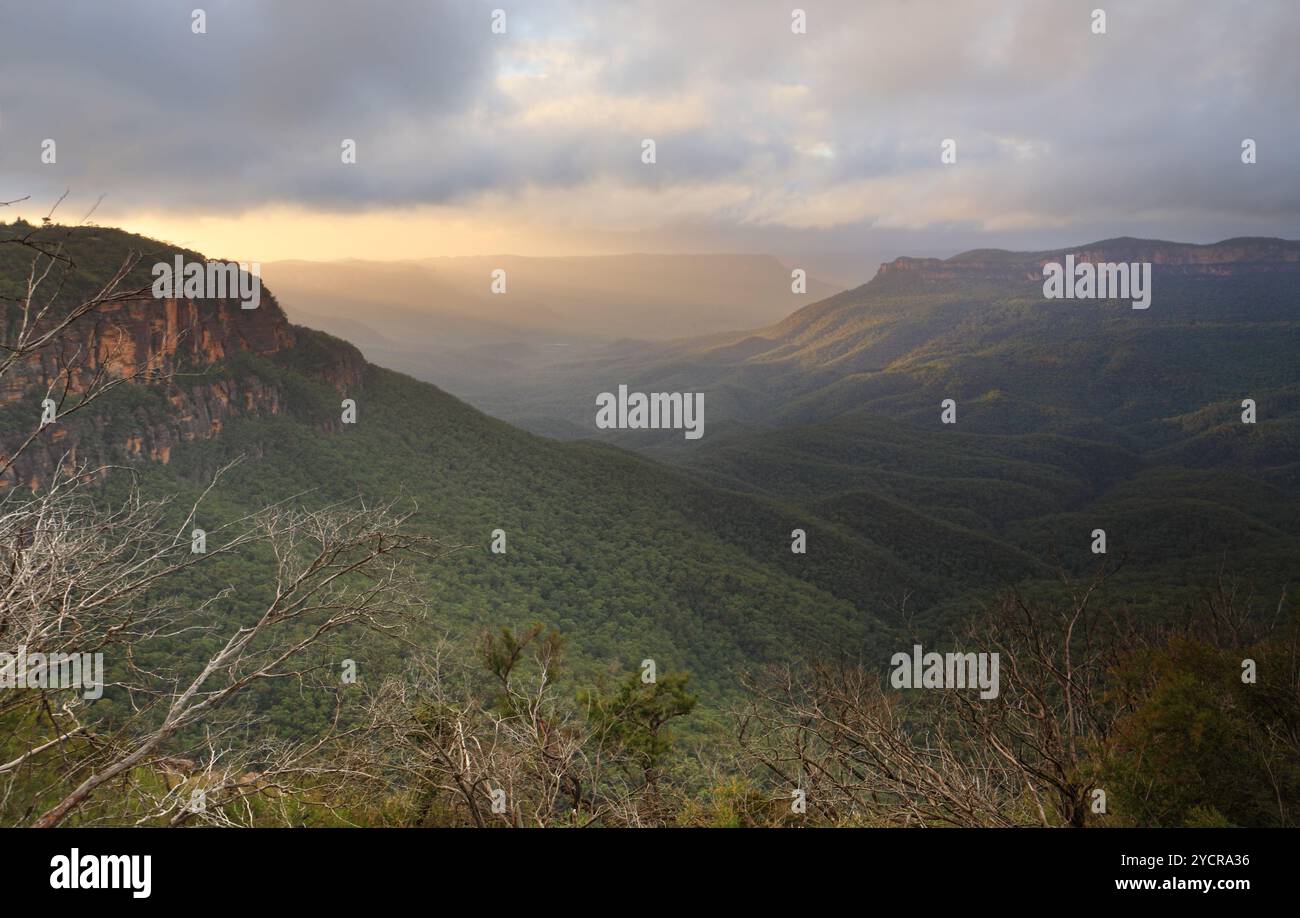 Misty Sunrise Mount Solitary Blue Mountains Stockfoto