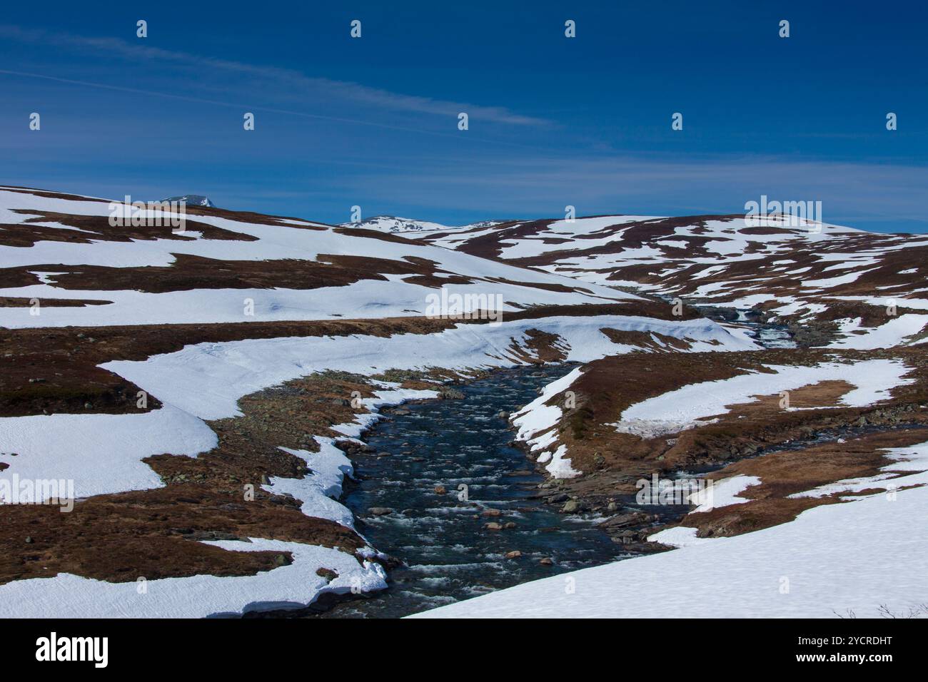 Borgafjaell im Juni, Jaemtland, Schweden Stockfoto