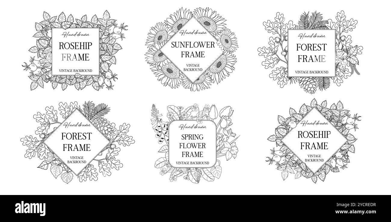 Handgezeichnete botanische Rahmen mit Blättern und Blumen. Vektordarstellung im Skizzenstil isoliert auf weiß. Realistisches Forst-Design-Element. Platz für Stock Vektor