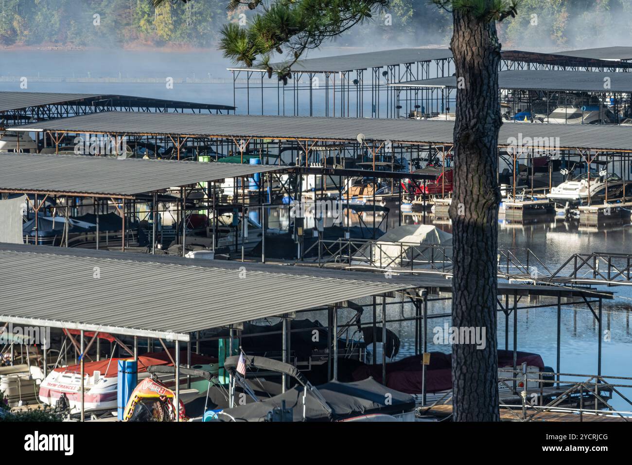 Am frühen Morgen Nebel am Lake Allatoona am Park Marina im Red Top Mountain State Park zwischen Cartersville und Acworth, Georgia. (USA) Stockfoto