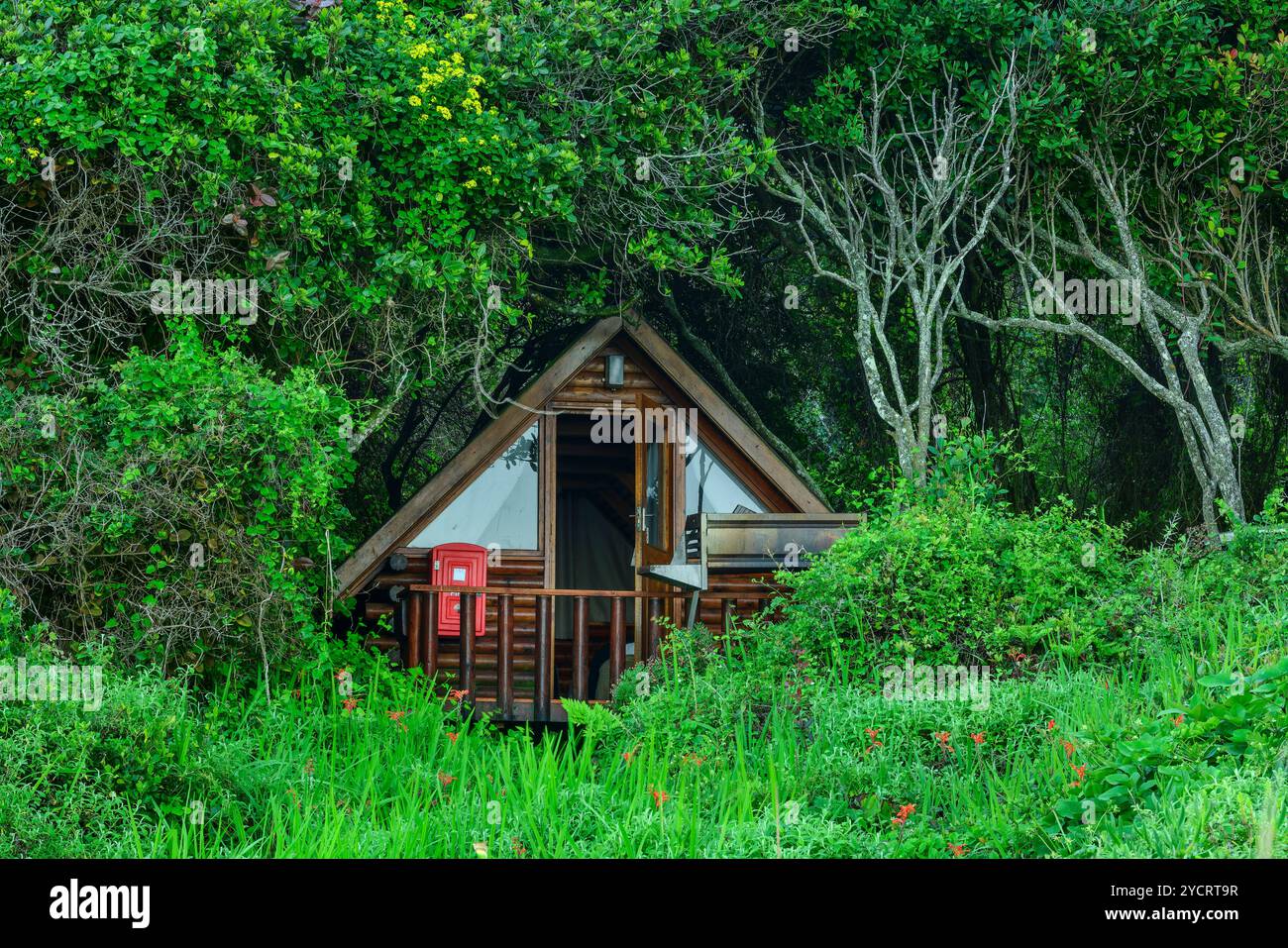 Hütte im Küstenwald, Storms River Rest Camp, Storms River, Tsitsikamma Section, Garden Route National Park, Eastern Cape, Südafrika Stockfoto