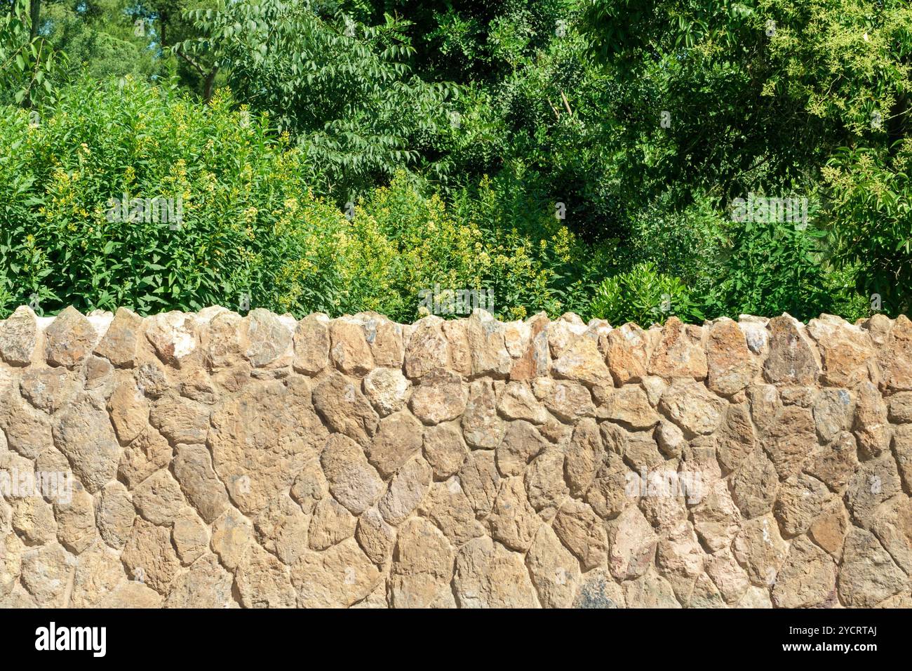 Steinmauer Stockfoto